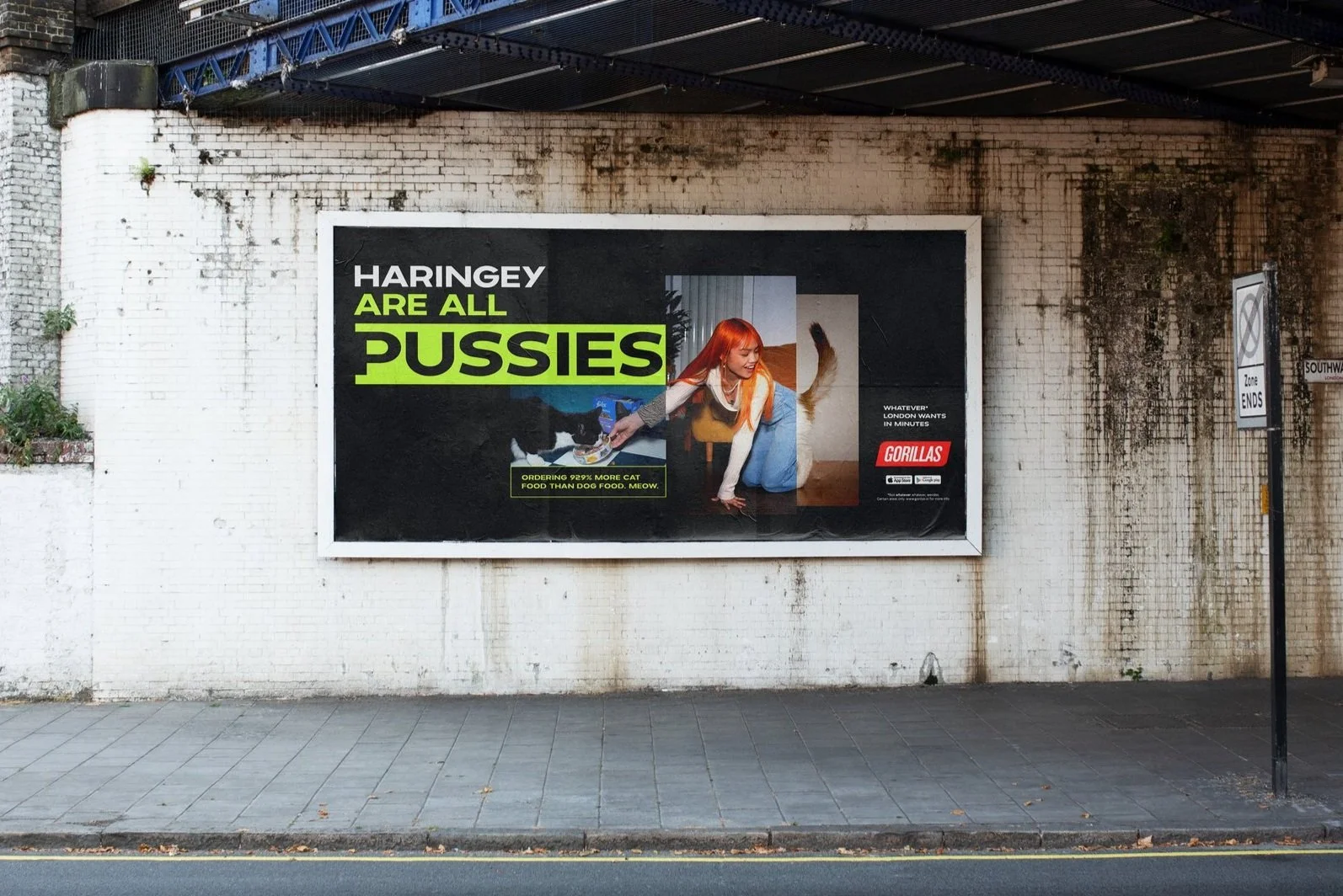 Gorillas 'Haringey Are All Pussies' billboard under a railway bridge in London